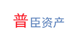 普臣资产