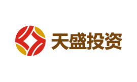 天盛投资